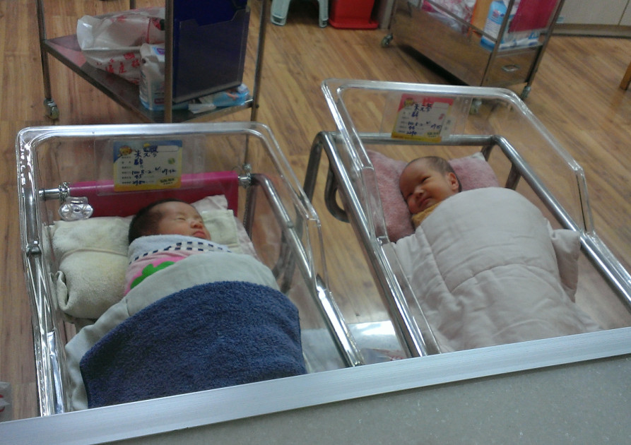 【分享】呱呱落地的兩隻小獅子